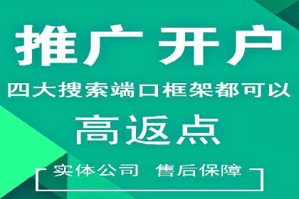 案例对比：SEO与SEM优化效果深度分析