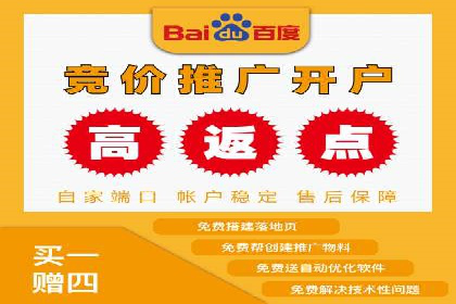 某电商平台的SEM推广策略——代运营公司的实践